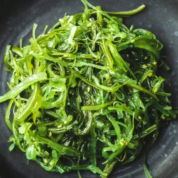 Alga wakame (Undaria pinnatifida)