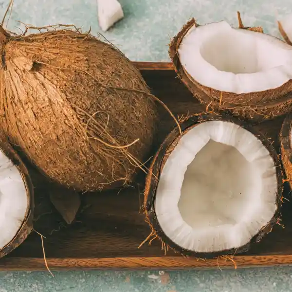 Coco (Cocos nucifera)