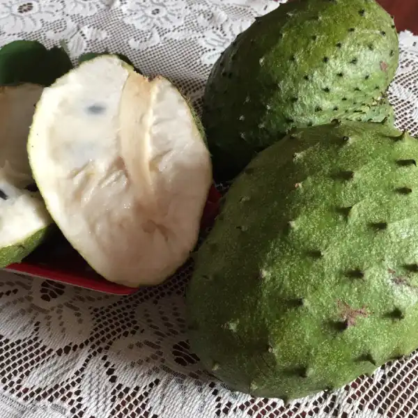 Graviola o guanábana (Annona muricata)