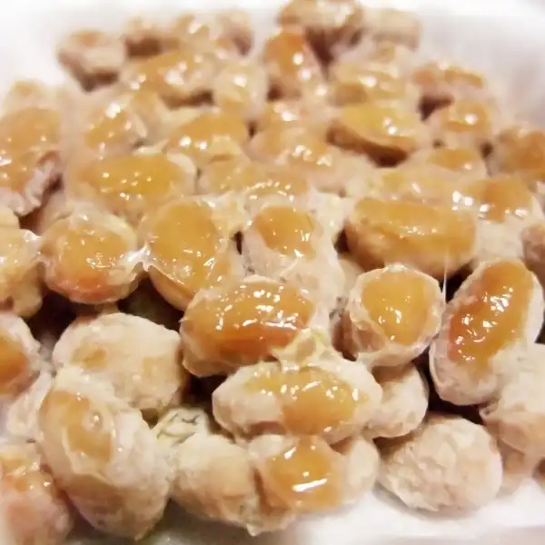 Soynatto (soja fermentada)