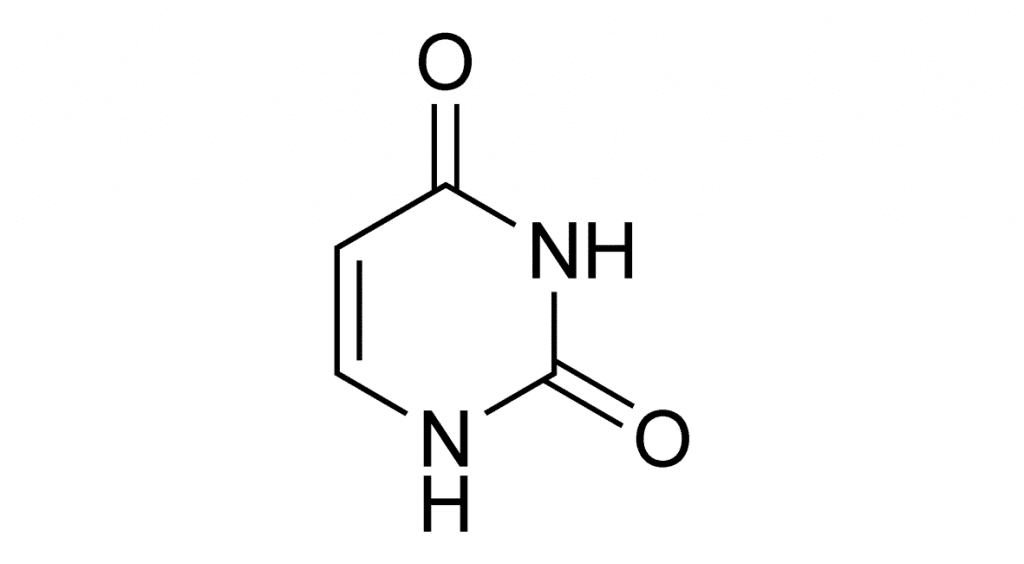 Молекула урацила. Тимин и урацил формулы. Урацил формула химическая. Урацил формула формула. Урацил структурная формула.