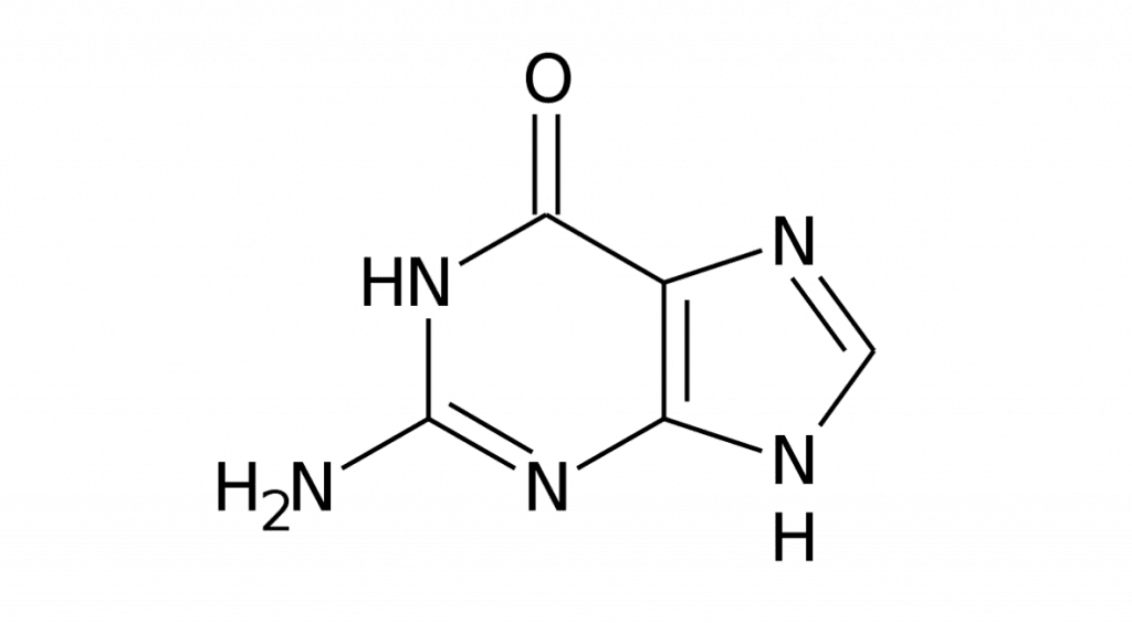 Guanina