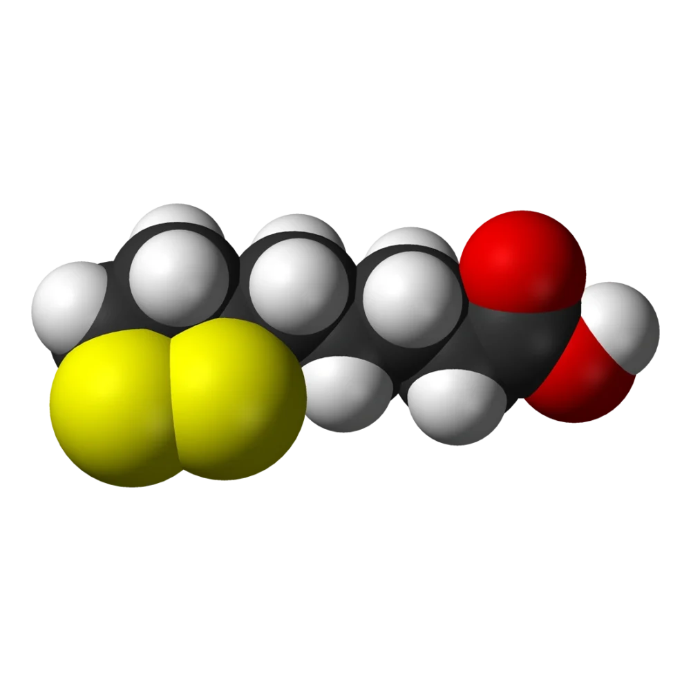 Ácido lipoico en 3D - Benjah-bmm27, Public domain, via Wikimedia Commons