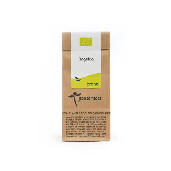 Biotradicion angelica bio kraft granel