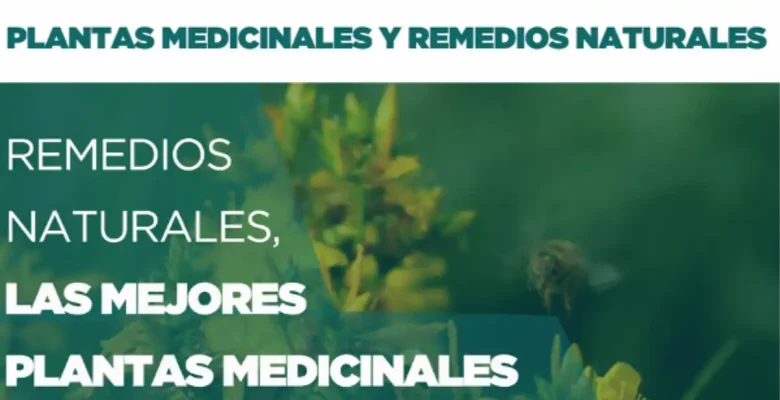 Remedios Naturales: las mejores plantas medicinales