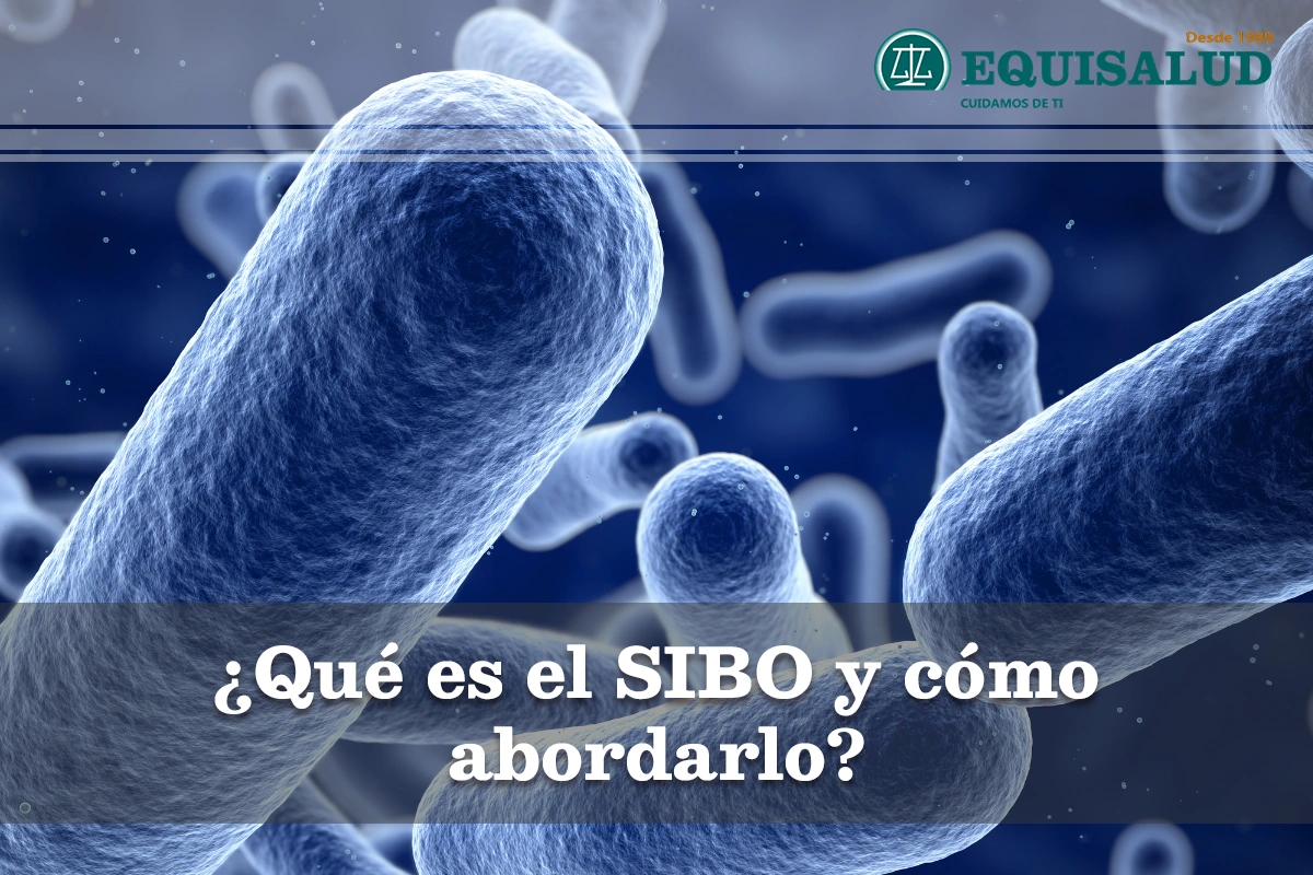 ¿qué Es El Sibo Y Cómo Abordarlo Equisaludemk 7466